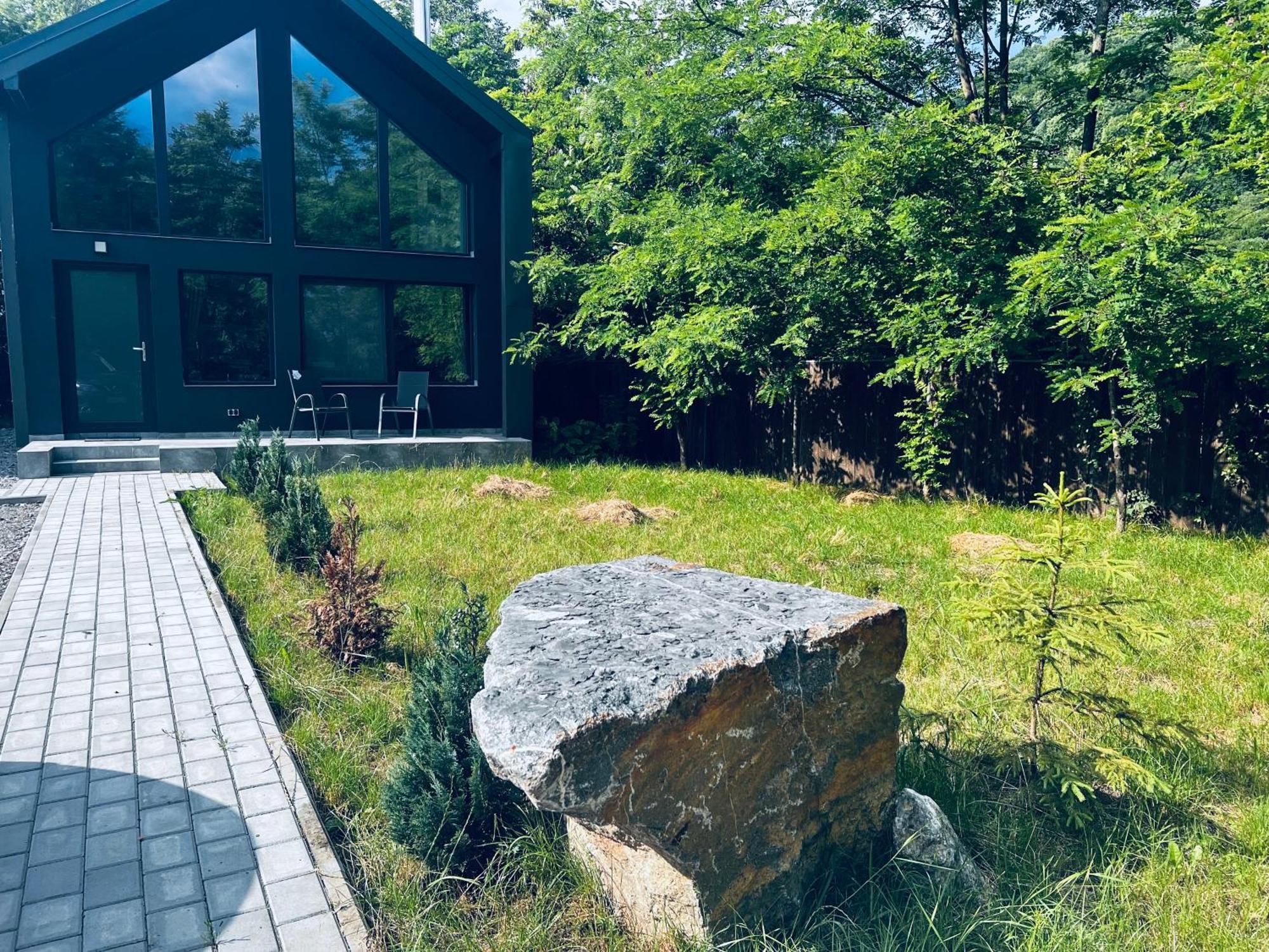 Villa Oxigen Dream Rîşnov Esterno foto